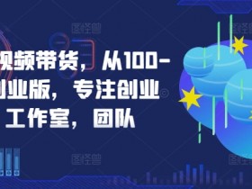 京东短视频带货，从100-1000创业版，专注创业者，工作室，团队-天天学吧