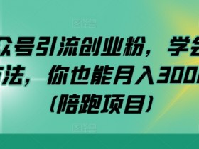 公众号引流创业粉，学会这个方法，你也能月入30000+ (陪跑项目)-天天学吧