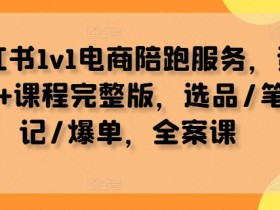 小红书1v1电商陪跑服务，资料+课程完整版，选品/笔记/爆单，全案课-天天学吧