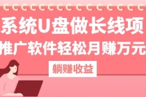 用系统U盘做长线项目，推广软件轻松月赚万元（附制作教程+软件）-天天学吧