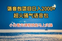 语音包项目 日入2000+ 超火骚气语音包小白看完课程就能马上实操-天天学吧