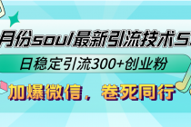 9月份soul最新引流技术5.0，日稳定引流300+创业粉，加爆微信，卷死同行-天天学吧