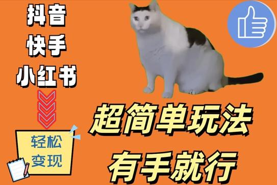 图片[1]-超简单玩法，有手就行，靠猫咪视频日入500+【揭秘】-天天学吧