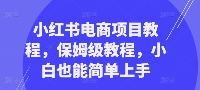 图片[1]-小红书电商项目教程，保姆级教程，小白也能简单上手-天天学吧