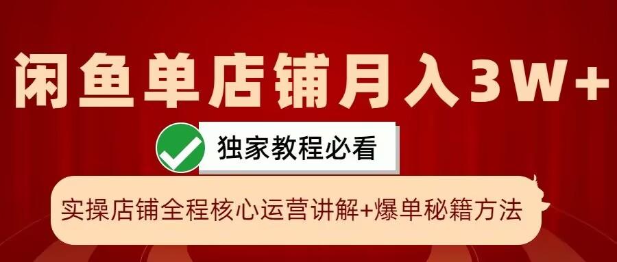 图片[1]-闲鱼单店铺月入3W+实操展示，爆单核心秘籍，一学就会【揭秘】-天天学吧