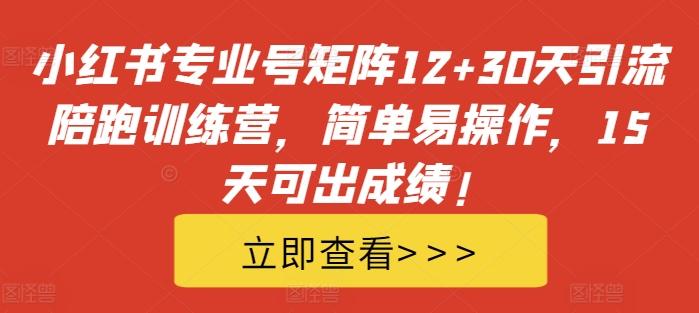 图片[1]-小红书专业号矩阵12+30天引流陪跑训练营，简单易操作，15天可出成绩!-天天学吧