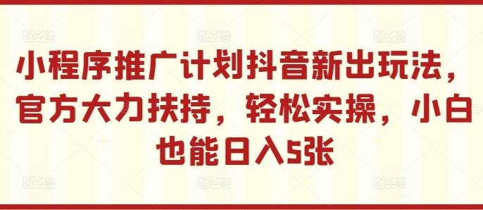 图片[1]-小程序推广计划抖音新出玩法，官方大力扶持，轻松实操，小白也能日入5张【揭秘】-天天学吧