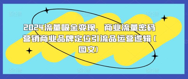 图片[1]-2024流量吸金变现，商业流量密码营销商业品牌定位引流品运营逻辑(图文)-天天学吧