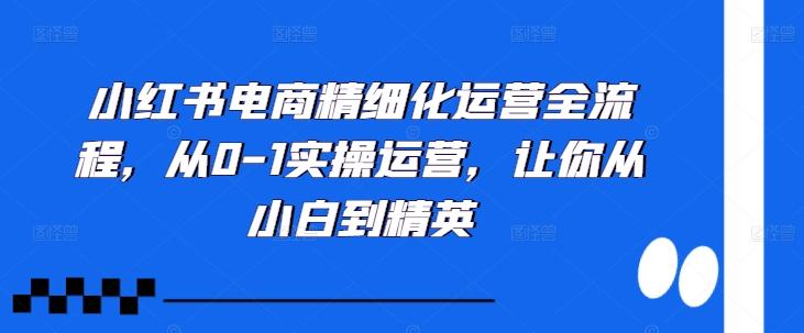 图片[1]-小红书电商精细化运营全流程，从0-1实操运营，让你从小白到精英-天天学吧