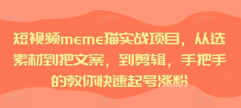 图片[1]-短视频meme猫实战项目，从选素材到把文案，到剪辑，手把手的教你快速起号涨粉-天天学吧