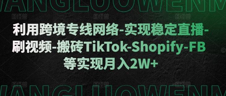 图片[1]-利用跨境专线网络-实现稳定直播-刷视频-搬砖TikTok-Shopify-FB等实现月入2W+【揭秘】-天天学吧