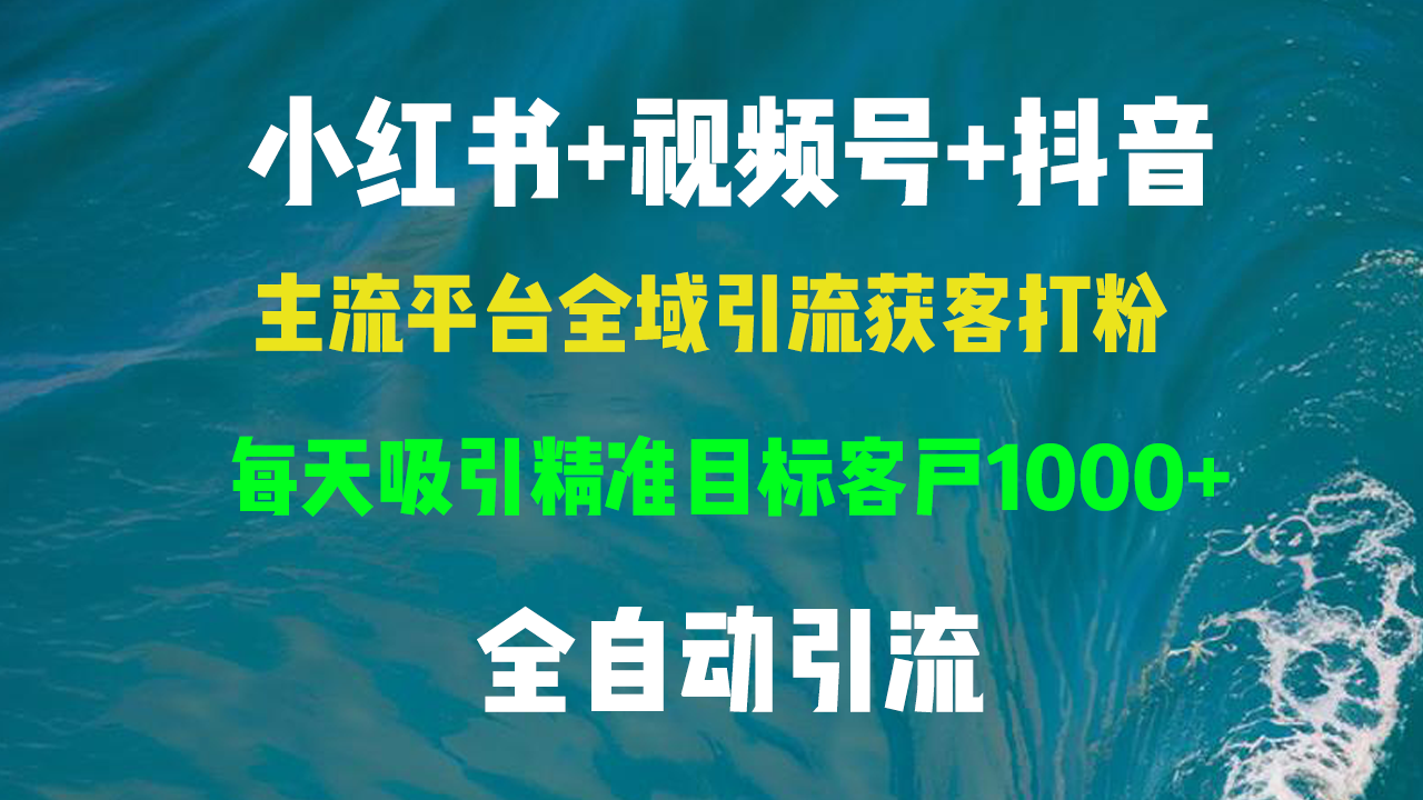 小红书，视频号，抖音主流平台全域引流获客打粉，每天吸引精准目标客户…-天天学吧