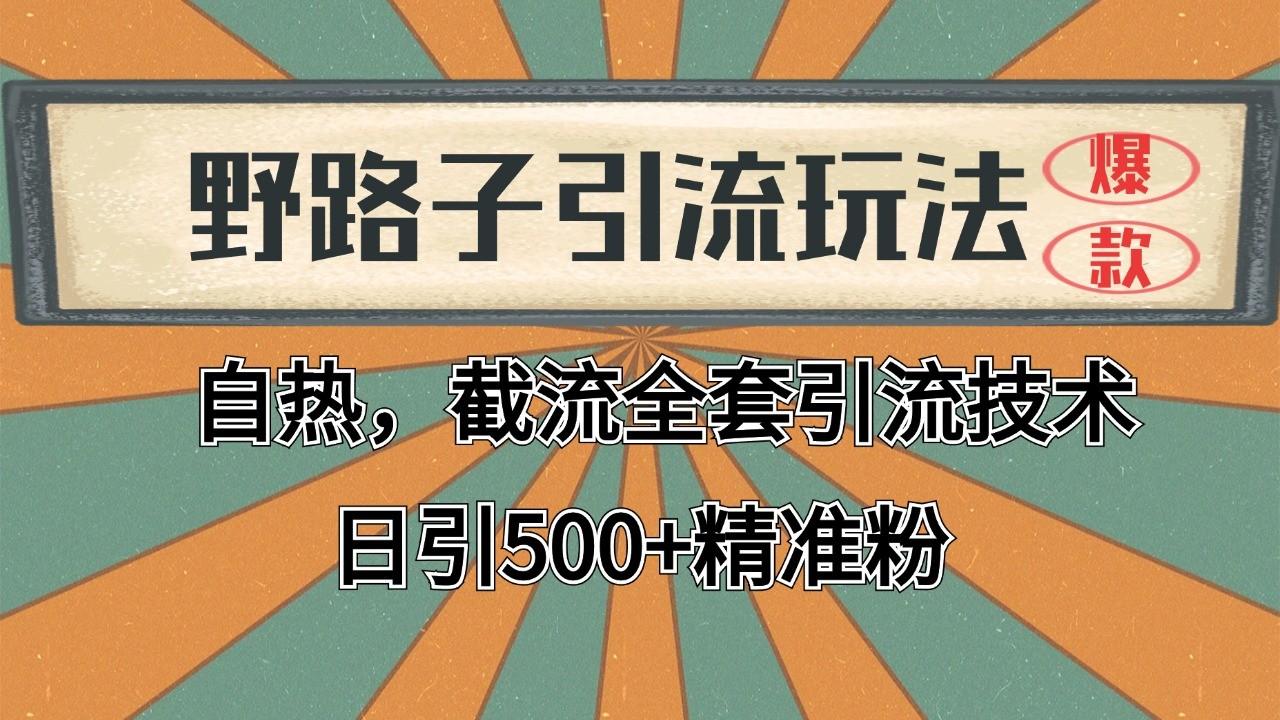 抖音小红书视频号全平台引流打法，全自动引流日引2000+精准客户-天天学吧