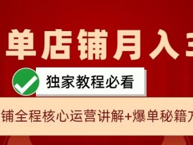 闲鱼单店铺月入3W+实操展示，爆单核心秘籍，一学就会【揭秘】-天天学吧