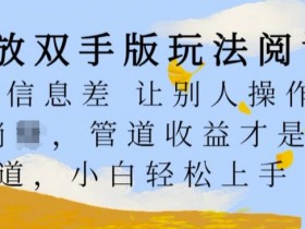 解放双手版玩法阅读，利用信息差让别人操作你来躺Z，管道收益才是王道，小白轻松上手【揭秘】-天天学吧