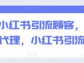 巧用小红书引流顾客，精准招募代理，小红书引流专辑-天天学吧