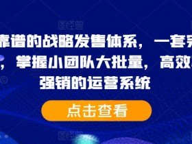 2024靠谱的战略发售体系，一套完整的助IP们，掌握小团队大批量，高效率，0 强销的运营系统-天天学吧