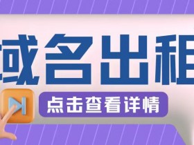 冷门项目，域名出租玩法，简单粗暴适合小白【揭秘】-天天学吧