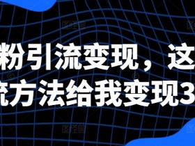 创业粉引流变现，这三种引流方法给我变现3W+【揭秘】-天天学吧