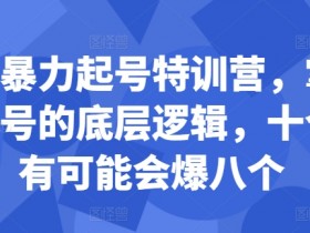 小红书暴力起号特训营，掌握小红书起号的底层逻辑，十个帖真有可能会爆八个-天天学吧