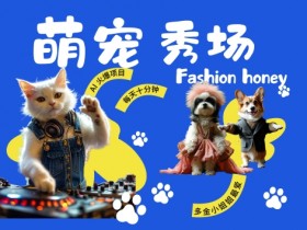 酷飒动物跳舞走秀，时尚喵FASHION汪， 多金小姐姐最爱的，轻松月入破W【揭秘】-天天学吧