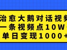 治愈大鹅对话视频，一条视频点赞 10W+，单日变现1k+【揭秘】-天天学吧