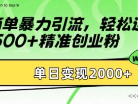 简单暴力引流，轻松达到日引500+精准创业粉，单日变现2k【揭秘】-天天学吧