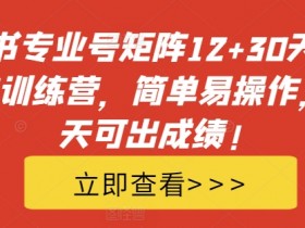 小红书专业号矩阵12+30天引流陪跑训练营，简单易操作，15天可出成绩!-天天学吧