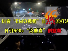 抖音EMO视频自热打法，日引500+“泛垂直”创业粉-天天学吧