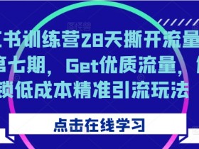 小红书训练营28天撕开流量入口第七期，Get优质流量，解锁低成本精准引流玩法-天天学吧