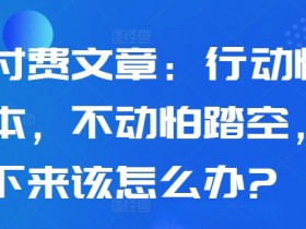 某付费文章：行动怕亏本，不动怕踏空，接下来该怎么办?-天天学吧