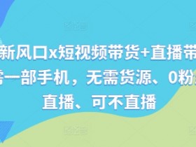 视频号新风口x短视频带货+直播带货，全程只需一部手机，无需货源、0粉丝、可直播、可不直播-天天学吧