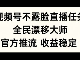 视频号不露脸直播任务，全民漂移大师，官方推流，收益稳定，全民可做【揭秘】-天天学吧