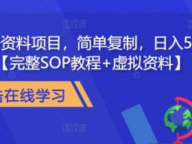 教务资料项目，简单复制，日入500元【完整SOP教程+虚拟资料】-天天学吧