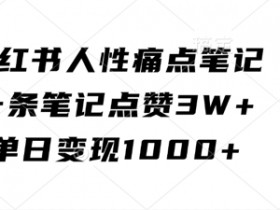 小红书人性痛点笔记，一条笔记点赞3W+，单日变现1k-天天学吧