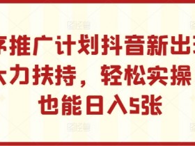 小程序推广计划抖音新出玩法，官方大力扶持，轻松实操，小白也能日入5张【揭秘】-天天学吧