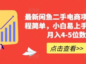 最新闲鱼二手电商项目，流程简单，小白易上手，副业月入4-5位数!-天天学吧