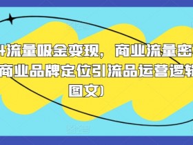 2024流量吸金变现，商业流量密码营销商业品牌定位引流品运营逻辑(图文)-天天学吧