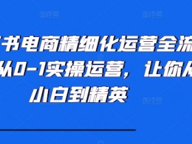 小红书电商精细化运营全流程，从0-1实操运营，让你从小白到精英-天天学吧