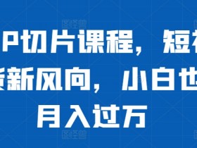 明星IP切片课程，短视频带货新风向，小白也能月入过万-天天学吧