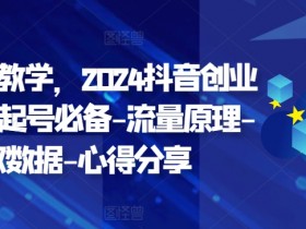 创业变现教学，2024抖音创业实操课，起号必备-流量原理-获取数据-心得分享-天天学吧