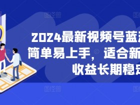 2024最新视频号蓝海项目，简单易上手，适合新手小白，收益长期稳定-天天学吧