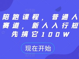 短剧陪跑课程，普通人逆袭的新赛道，新人入行短剧，先搞它100W-天天学吧