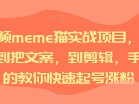 短视频meme猫实战项目，从选素材到把文案，到剪辑，手把手的教你快速起号涨粉-天天学吧