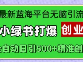 最新蓝海平台无脑引流，小绿书打爆创业圈，全自动日引500+精准创业粉-天天学吧