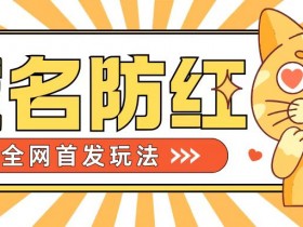 0基础搭建域名防红告别被封风险，学会可对外接单，一单收200+【揭秘】-天天学吧