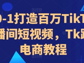 从0-1打造百万TikTok直播间短视频，Tk跨境电商教程-天天学吧