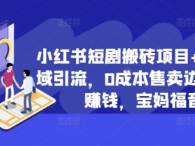 小红书短剧搬砖项目+打造私域引流，0成本售卖边看剧边赚钱，宝妈福音【揭秘】-天天学吧