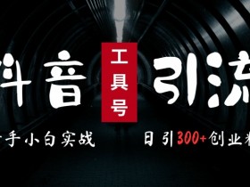 2024最新抖音工具号引流玩法，高效日引300+创业粉，当天变现5k，小白也可成为实战高手-天天学吧