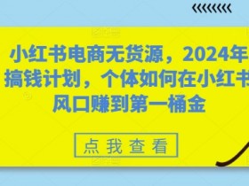 小红书电商无货源，2024年搞钱计划，个体如何在小红书风口赚到第一桶金-天天学吧